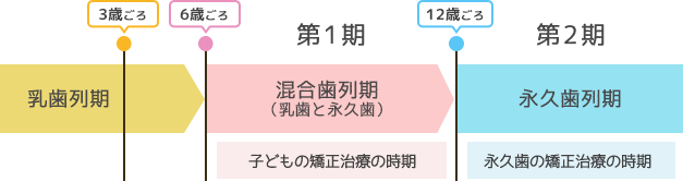 矯正治療の時期のグラフ